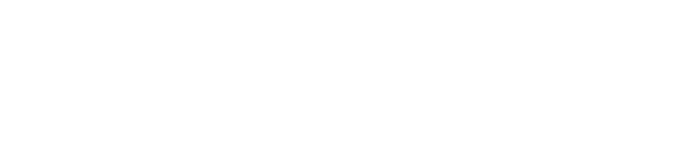 Elmo Rietschle